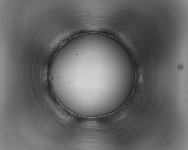 X0000113200685200909241359