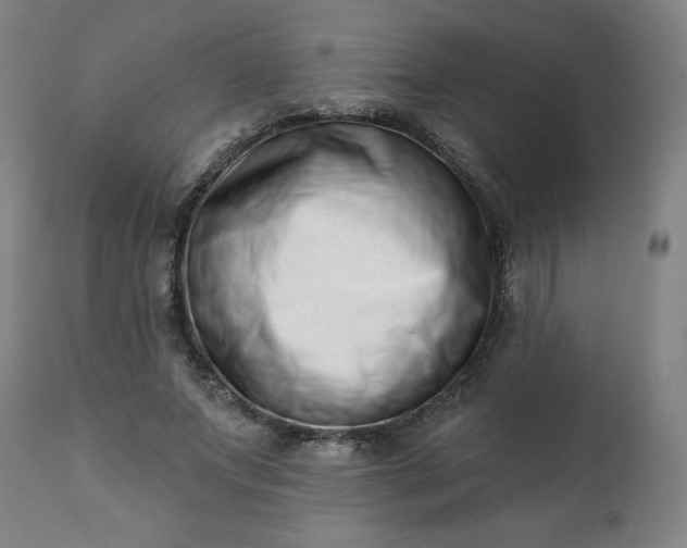 X0000113200687200909241359