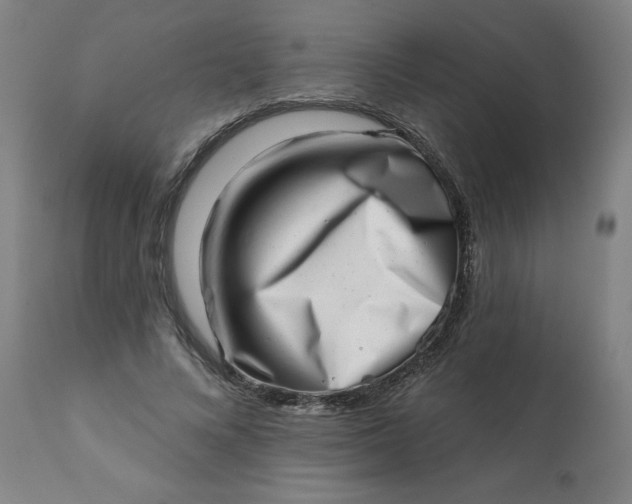 X0000113200688200909241359