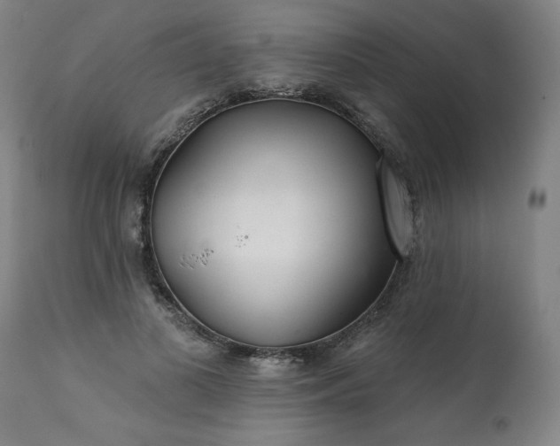 X0000113200693200909241359