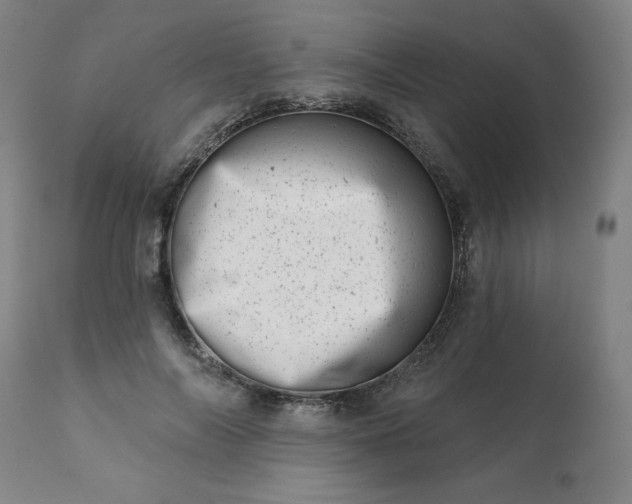 X0000113200694200909241359