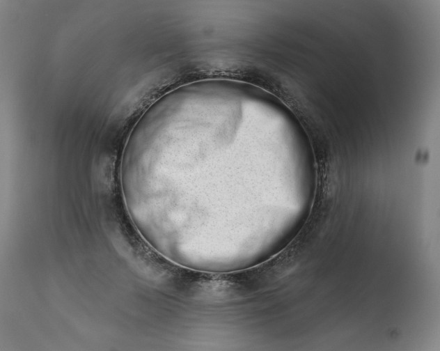 X0000113200695200909241359