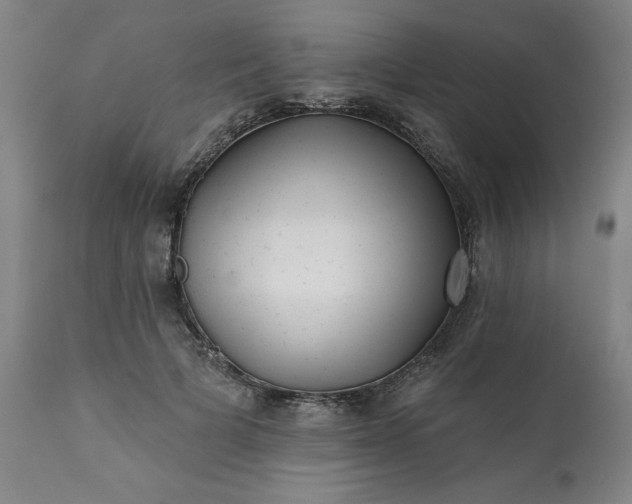 X0000113200697200909241359