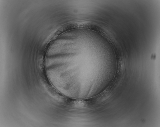 X0000113200698200909241359