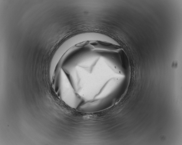 X0000113200700200909241359