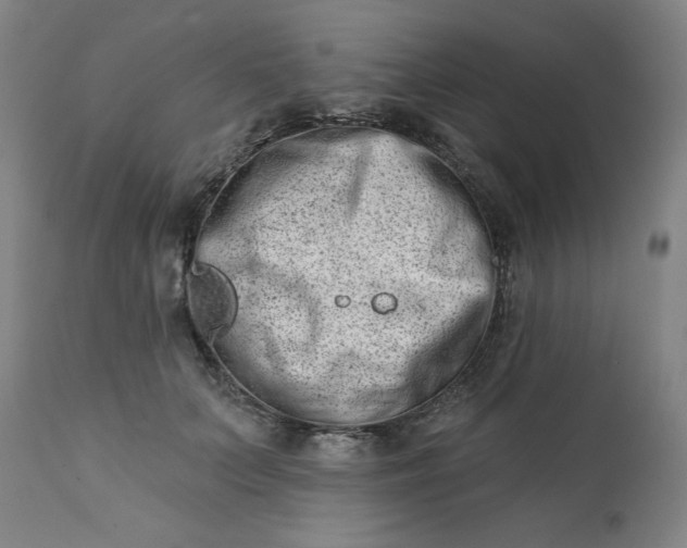 X0000113200703200909241359