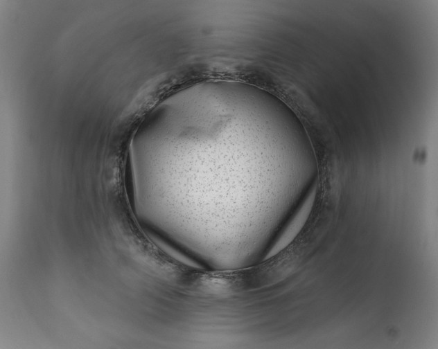 X0000113200706200909241358