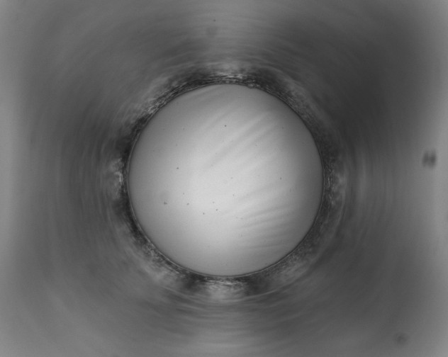 X0000113200707200909241358