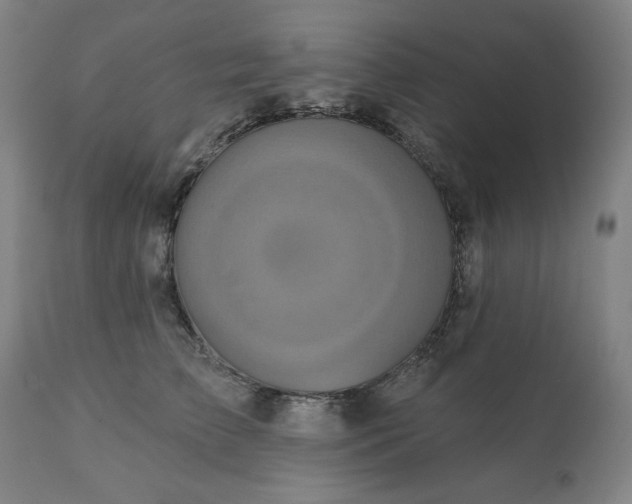 X0000113200709200909241358