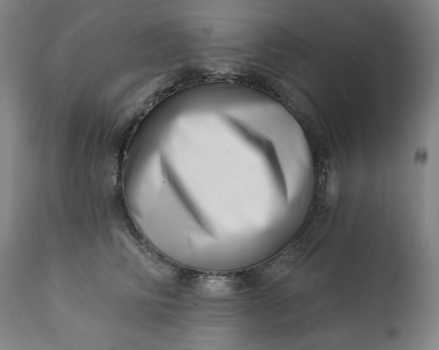 X0000113200710200909241358