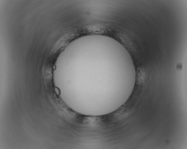 X0000113200713200909241358