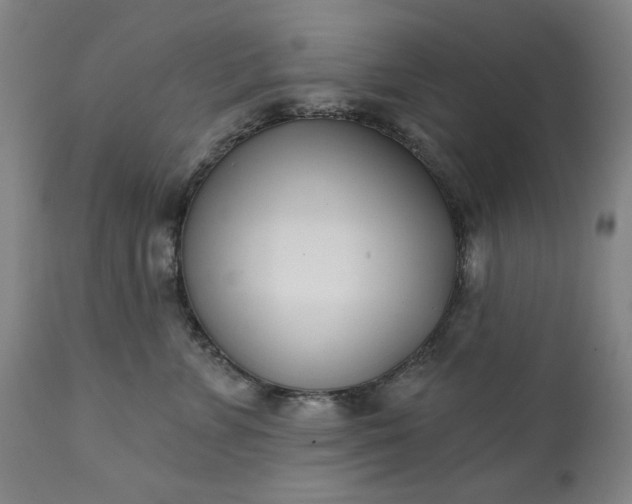 X0000113200715200909241358