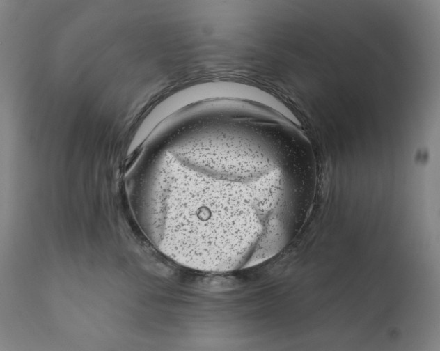 X0000113200716200909241358