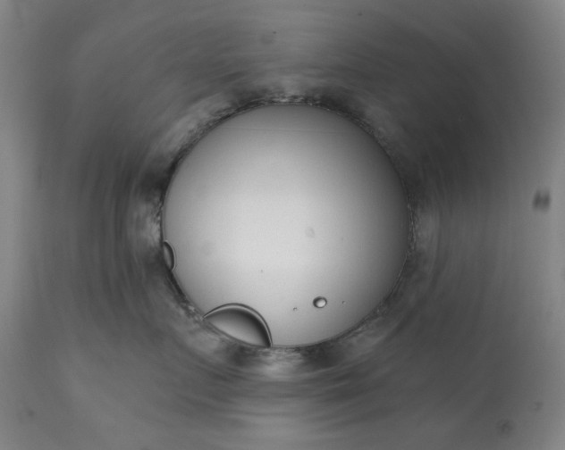 X0000113200719200909241358