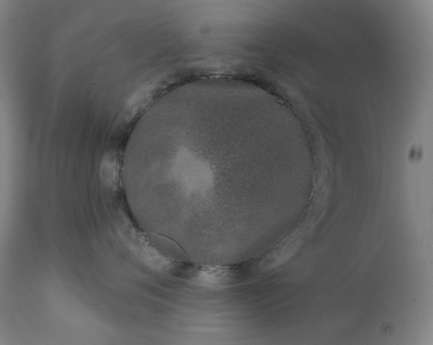 X0000113200720200909241358