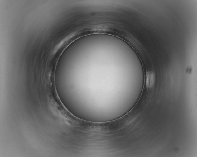 X0000113200723200909241357