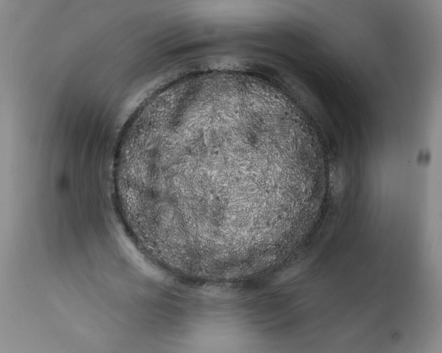 X0000113200725200909241358