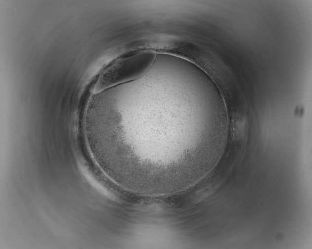 X0000113200726200909241358