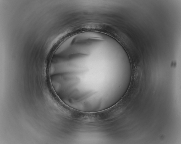 X0000113200727200909241358