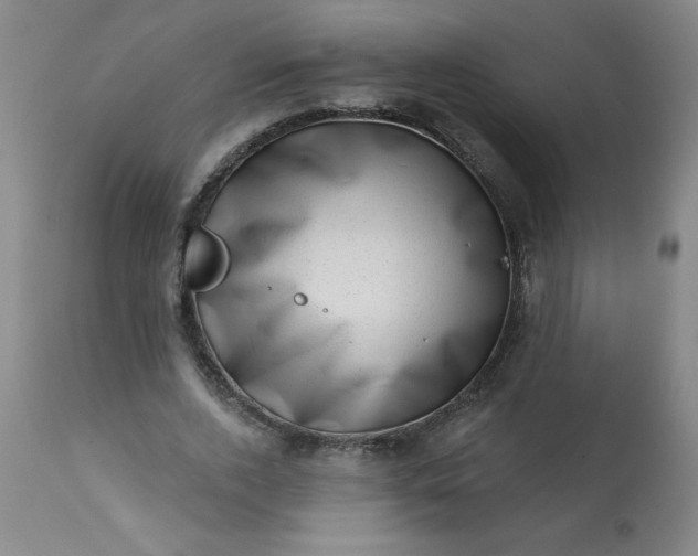 X0000113200728200909241358