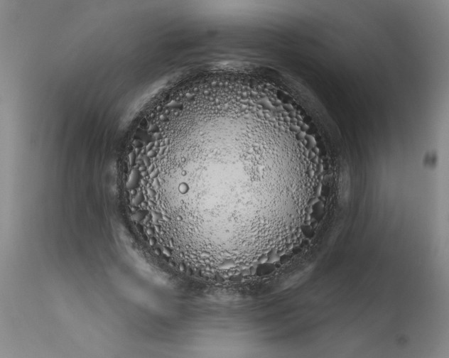 X0000113200729200909241358