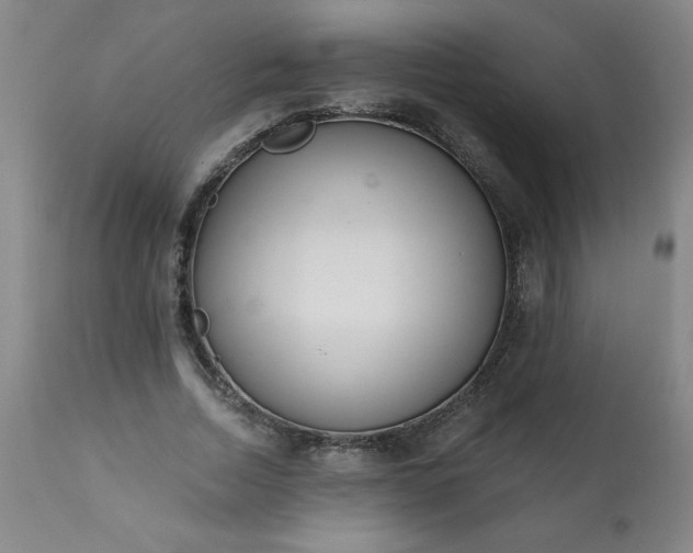 X0000113200730200909241358