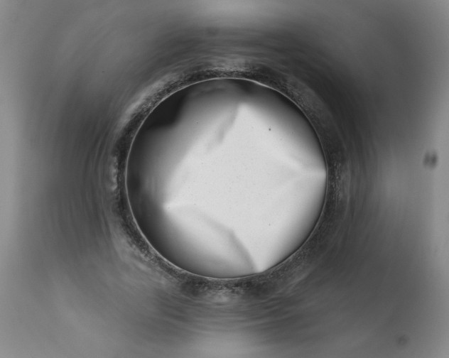 X0000113200731200909241358