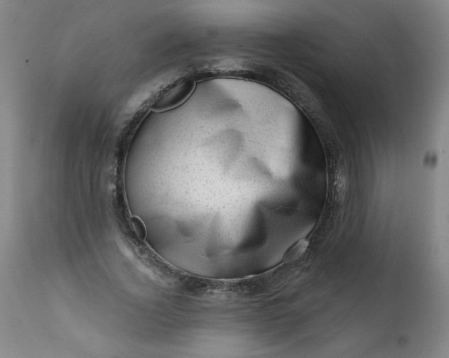 X0000113200732200909241358