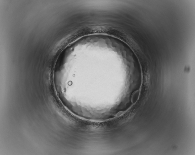 X0000113200733200909241358