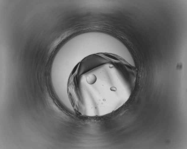 X0000113200734200909241358