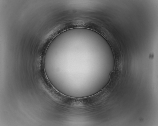 X0000113200735200909241358