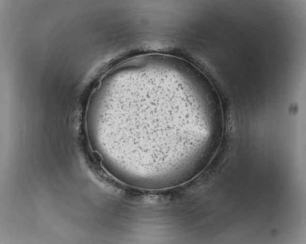 X0000113200736200909241358