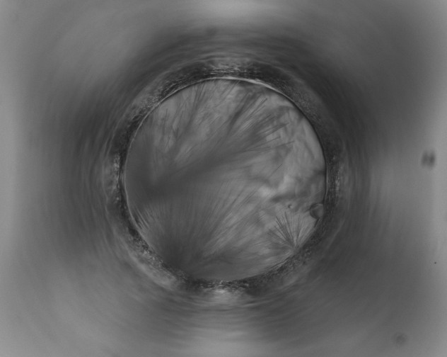 X0000113200737200909241358