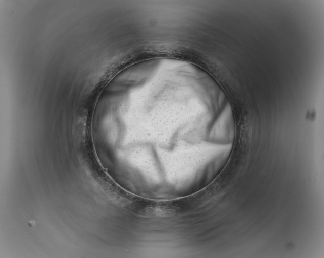 X0000113200739200909241358