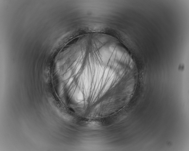 X0000113200741200909241358