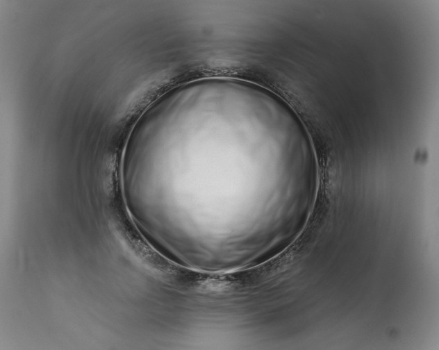 X0000113200742200909241358