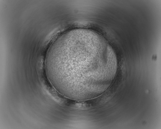 X0000113200744200909241358