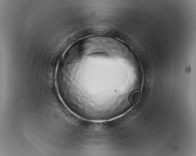 X0000113200745200909241358