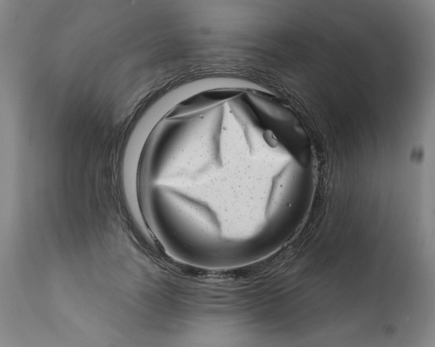 X0000113200746200909241358