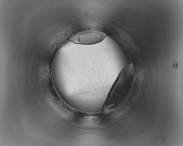 X0000113200748200909241358