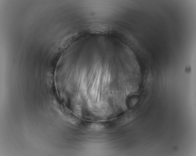 X0000113200749200909241358