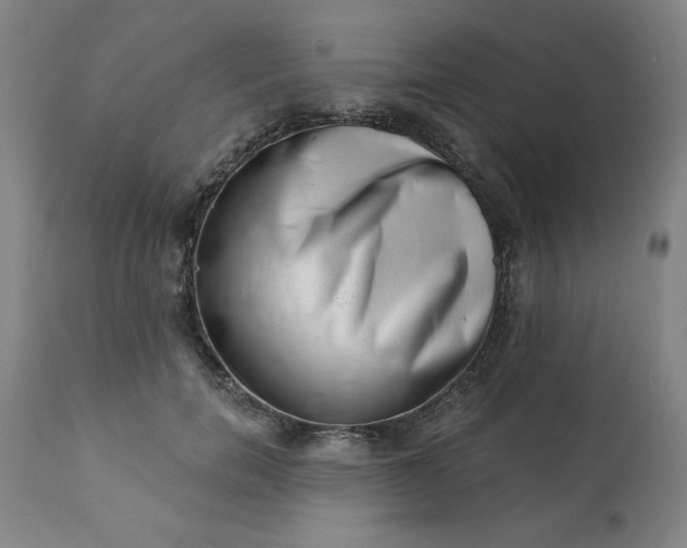 X0000113200750200909241358