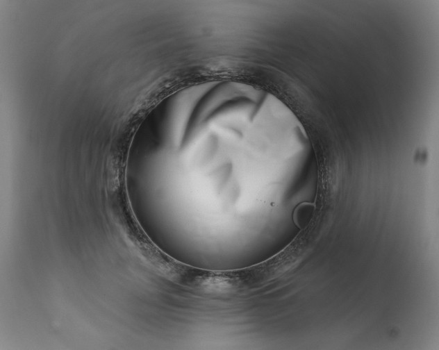 X0000113200751200909241358