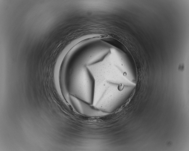 X0000113200752200909241358