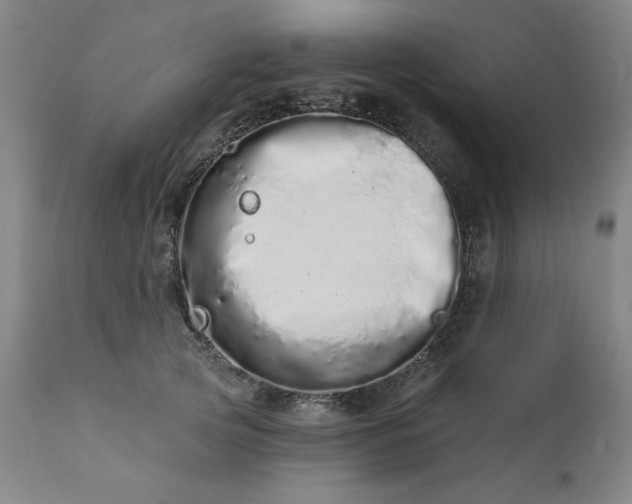 X0000113200753200909241358