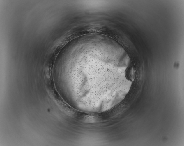 X0000113200755200909241358