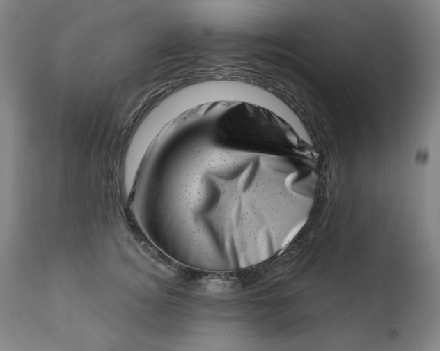 X0000113200756200909241358