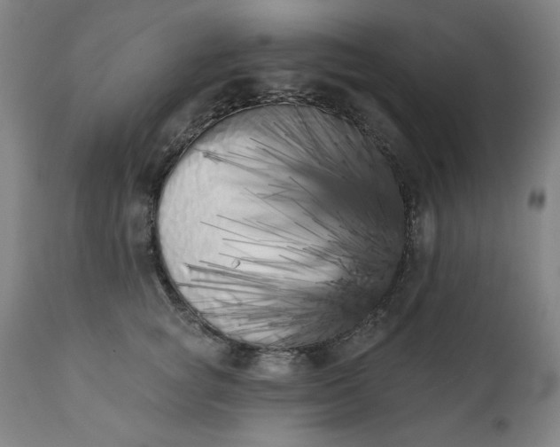 X0000113200757200909241358