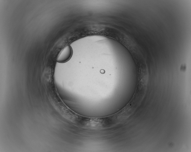 X0000113200758200909241358