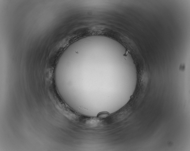 X0000113200759200909241358